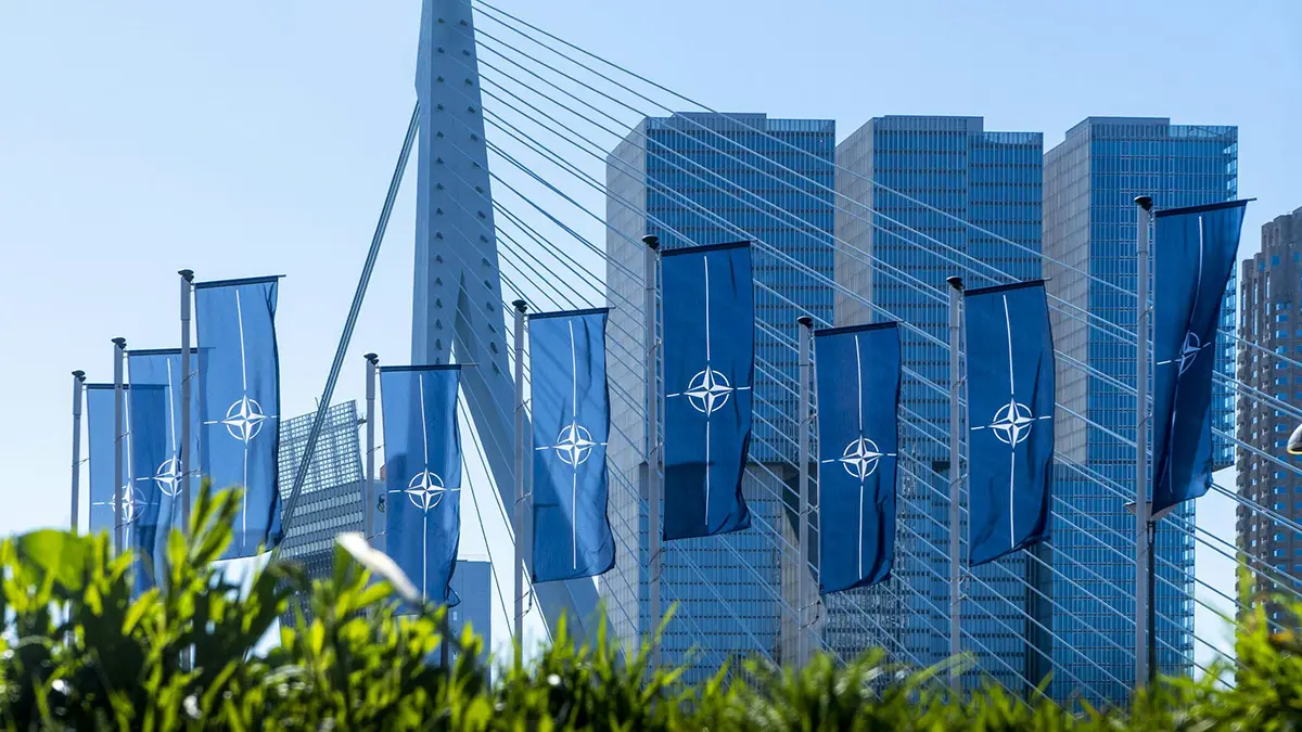 «Впал в кому»: журналист Гайани заявил о смерти НАТО как альянса