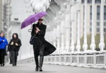 Позитив в Московском регионе: весна вернётся после дождей и заморозков pozitiv v moskovskom regione vesna vernyotsya posle dozhdej i zamorozkov-uralnovosti-ru-0