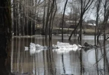 Река Уфа разлилась в Свердловской области, МЧС России наготове reka ufa razlilas v sverdlovskoj oblasti mchs rossii nagotove-uralnovosti-ru-0