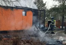 Семья Потаповского в СНТ: мужественное спасение, уроки Екатеринбурга semya potapovskogo v snt muzhestvennoe spasenie uroki ekaterinburga-uralnovosti-ru-0