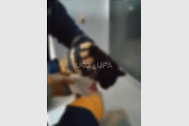 Вводная картинка