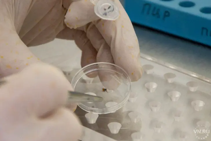 scientificrussia.ru