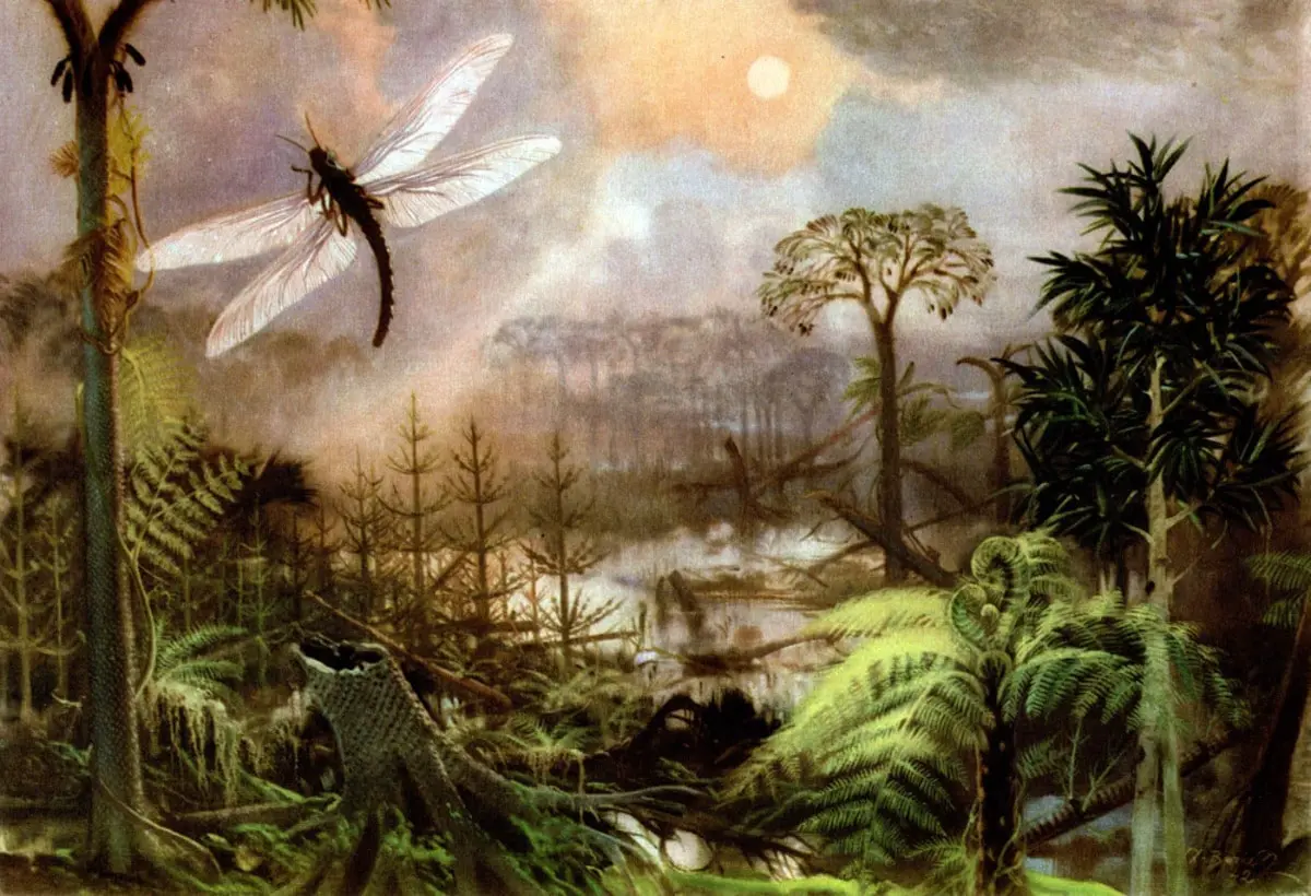 Meganeuropsis permiana: мифы о кислороде и открытия Грэма-0