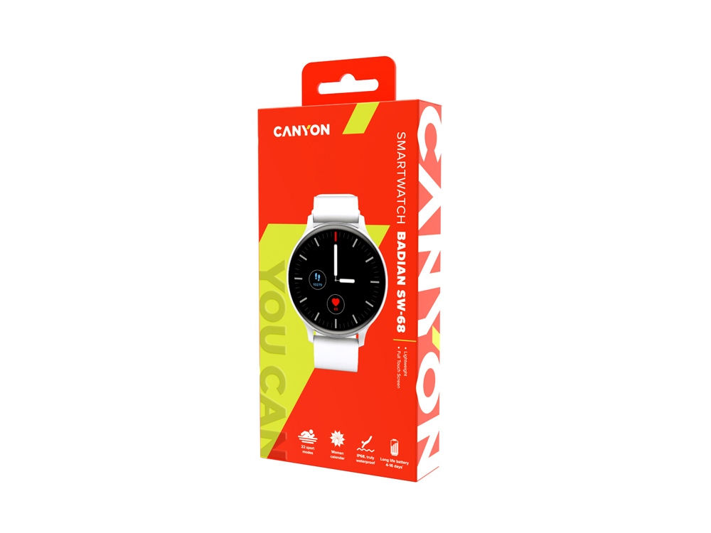 Смарт-часы Canyon SW-68  Badian, IP68, серебряный, серебристый