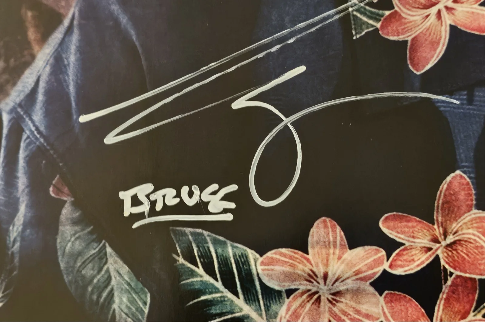 Bruce Campbell — BRUCE CAMPBELL SIGNED 'MY NAME IS BRUCE' MOVIE POSTER (2007) / Great Design!, image 2