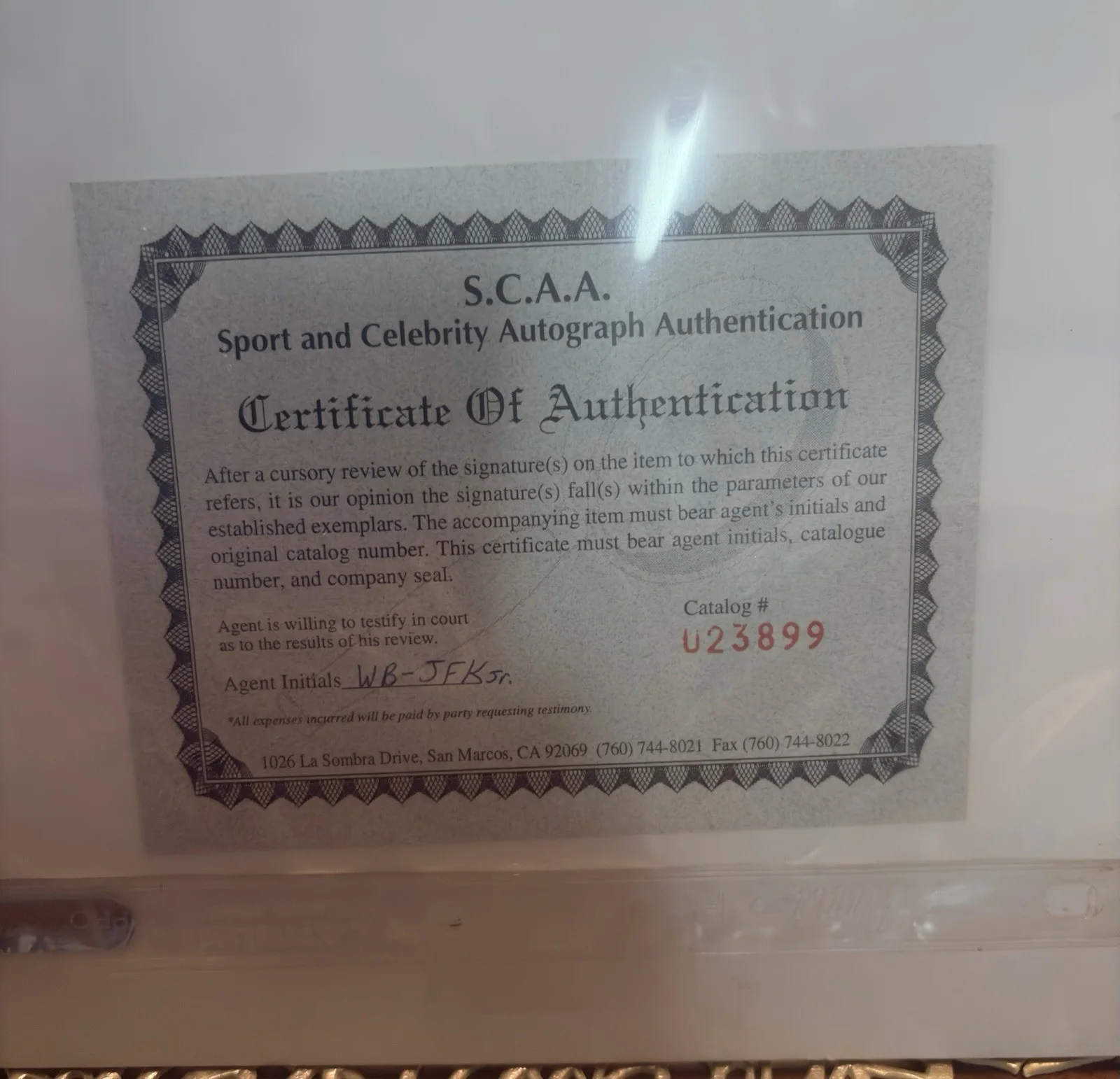 Signed JFK JR Original Photo with COA, image 2