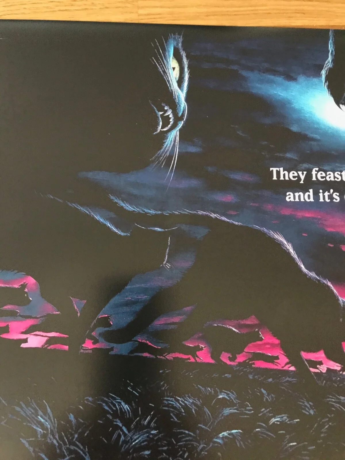 Movie Poster Sleepwalkers 430mm x 640mm (bit bigger than A2), image 4