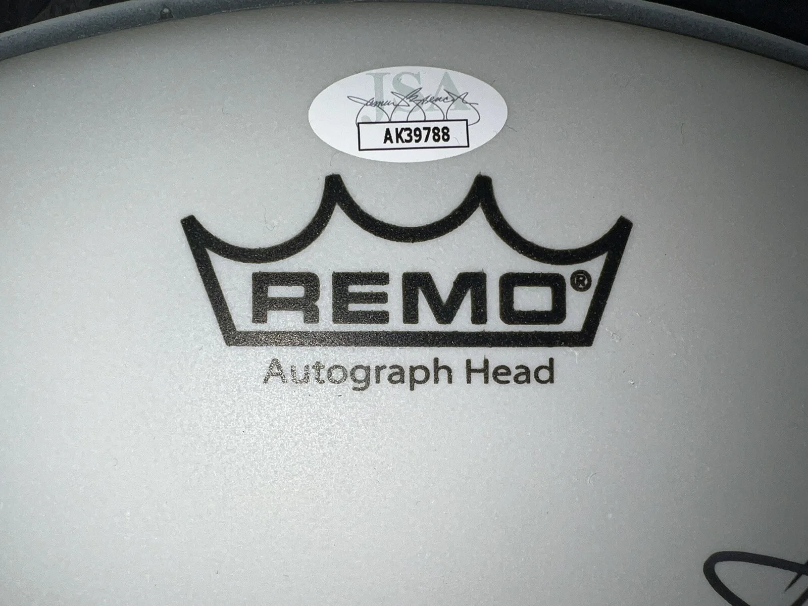 DEEP PURPLE SIGNED 14" REMO DRUMHEAD JSA COA NEW LINE UP AUTOGRAPHED BY FIVE X5!, image 2