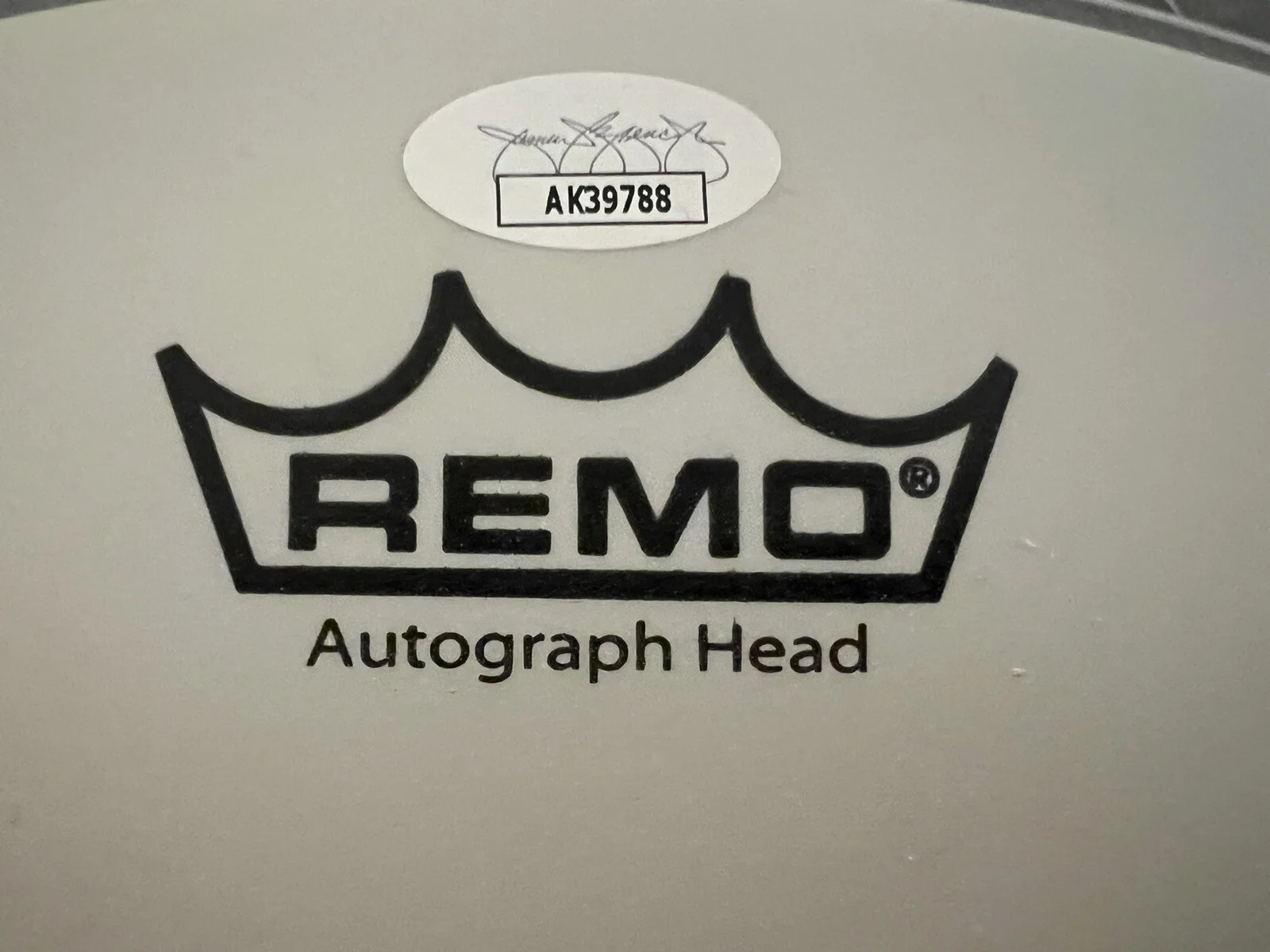 DEEP PURPLE SIGNED 14" REMO DRUMHEAD JSA COA NEW LINE UP AUTOGRAPHED BY FIVE X5!, image 5