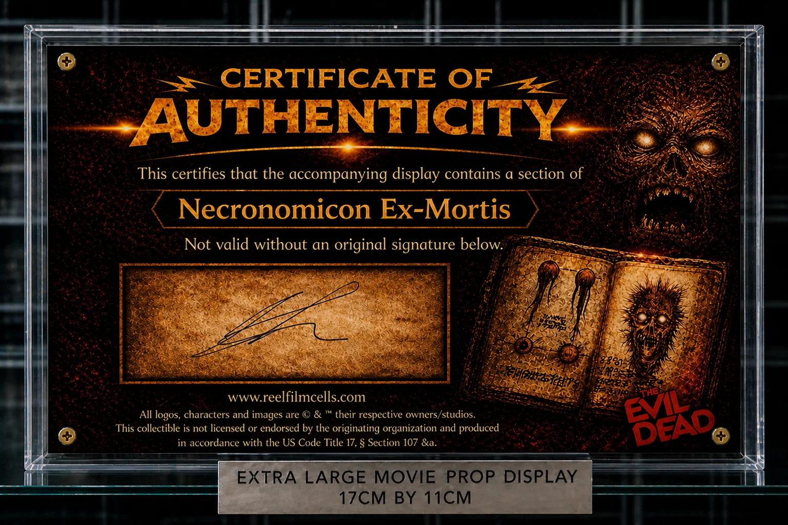 XL Screen-Used Necronomicon Fragment – The Evil Dead Movie Prop Display – COA, image 2