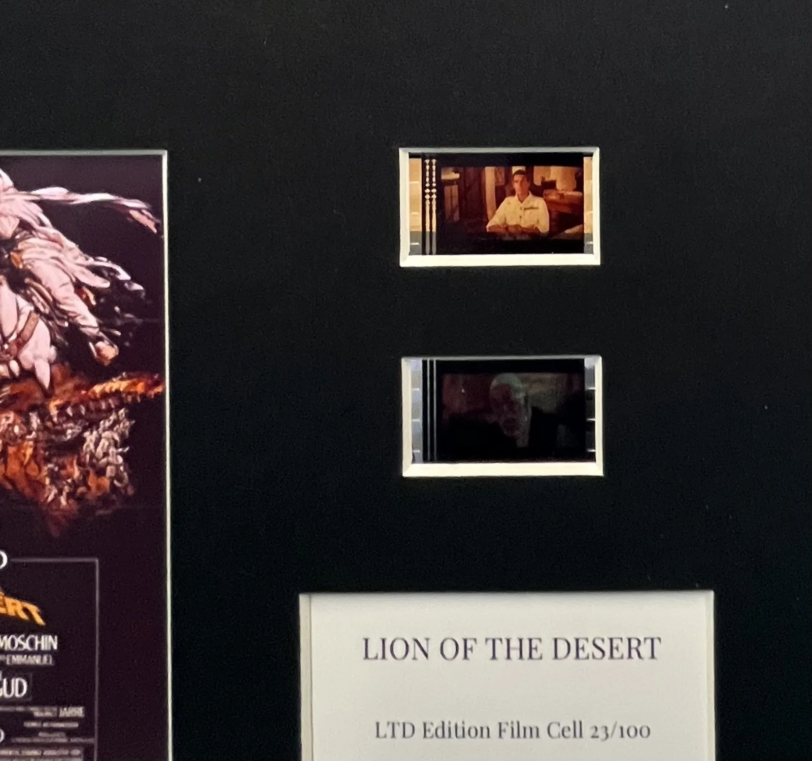 LION OF THE DESERT . 35mm Film Cell Mounted Display, image 2