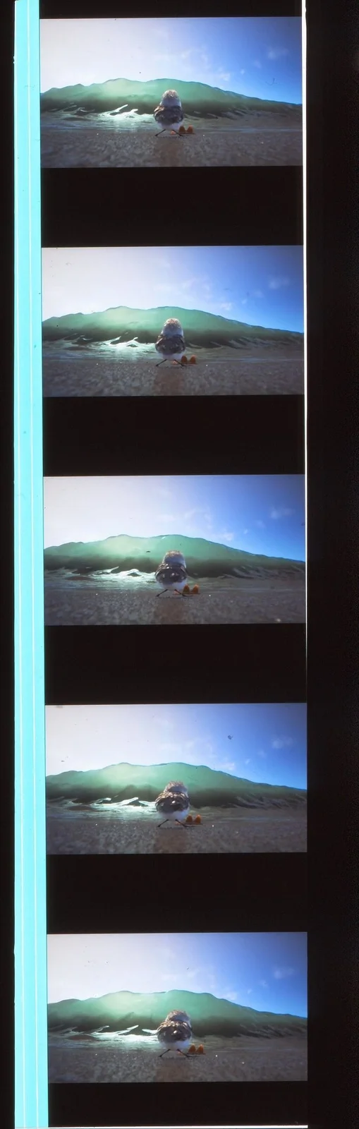 Pixar Piper 35mm Film Cell strip very Rare var_b, image 4
