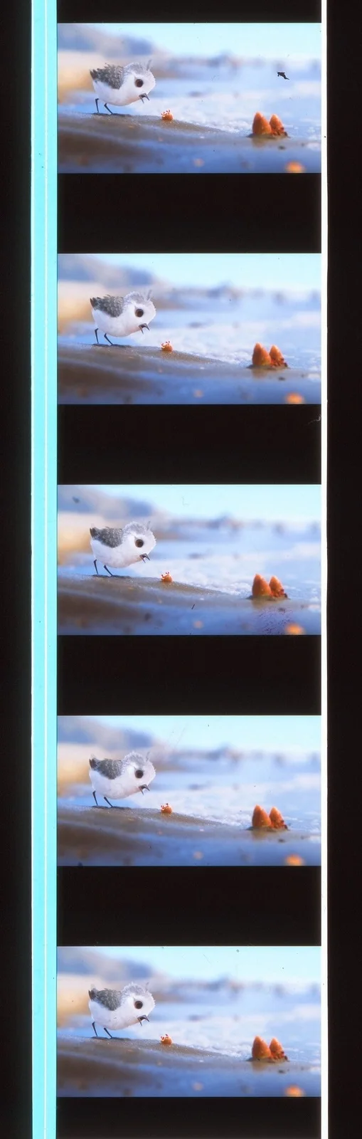 Pixar Piper 35mm Film Cell strip very Rare var_b, image 5