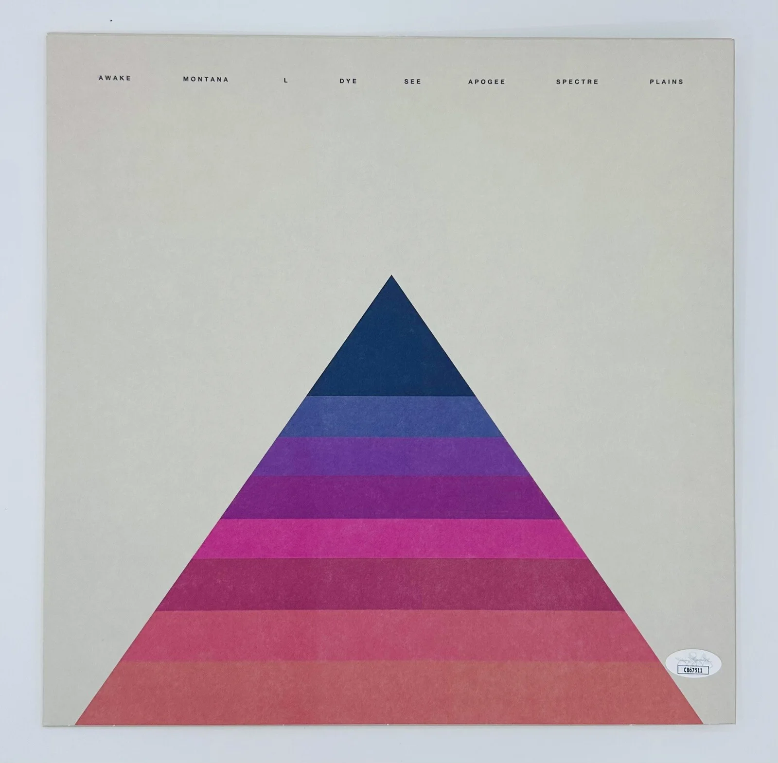Tycho Signed Awake Colored Vinyl LP Record JSA COA, image 2
