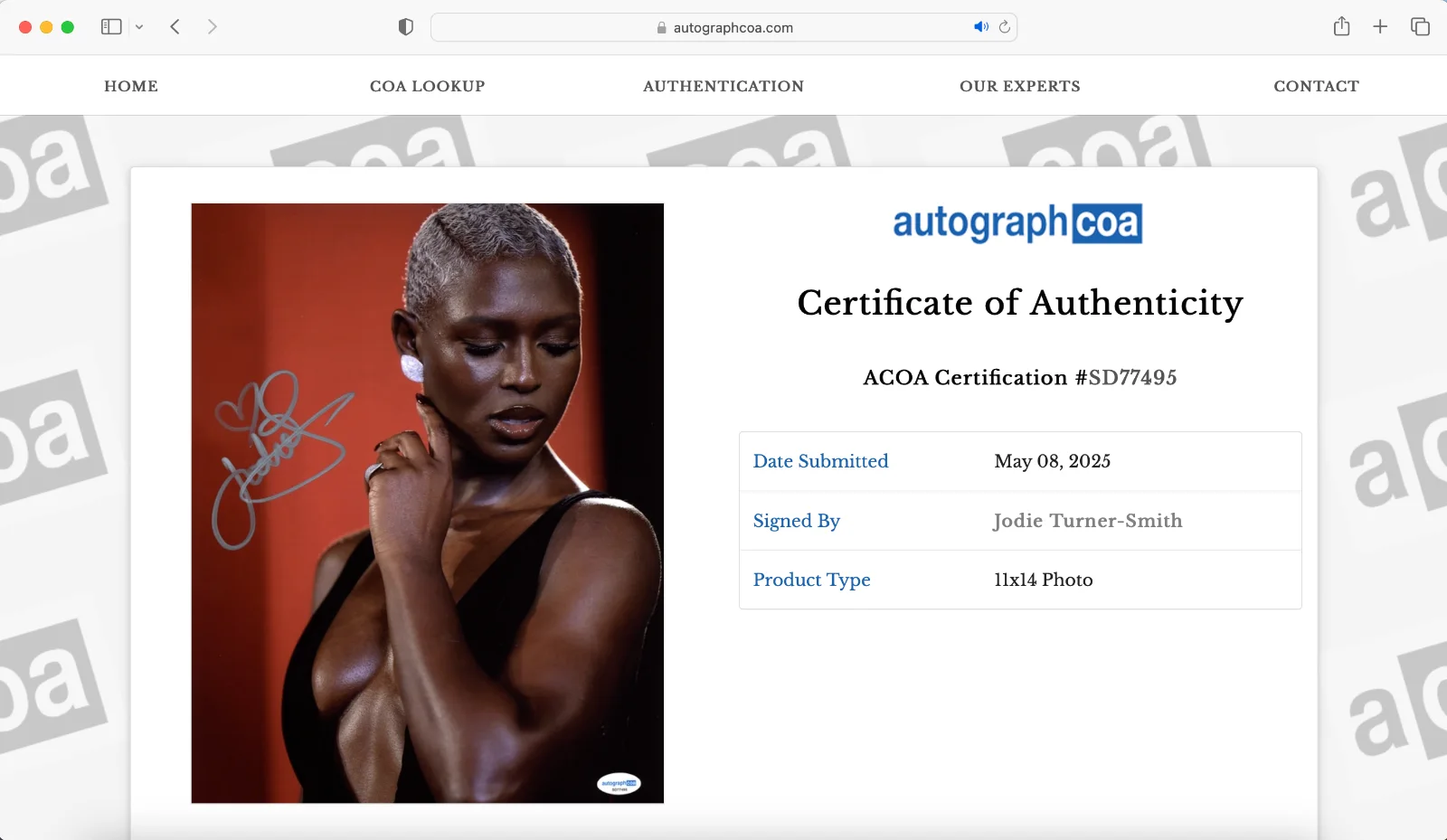 Jodie Turner-Smith — Jodie Turner-Smith signed 11x14 Photo ACOA Autograph COA SD77495, image 4