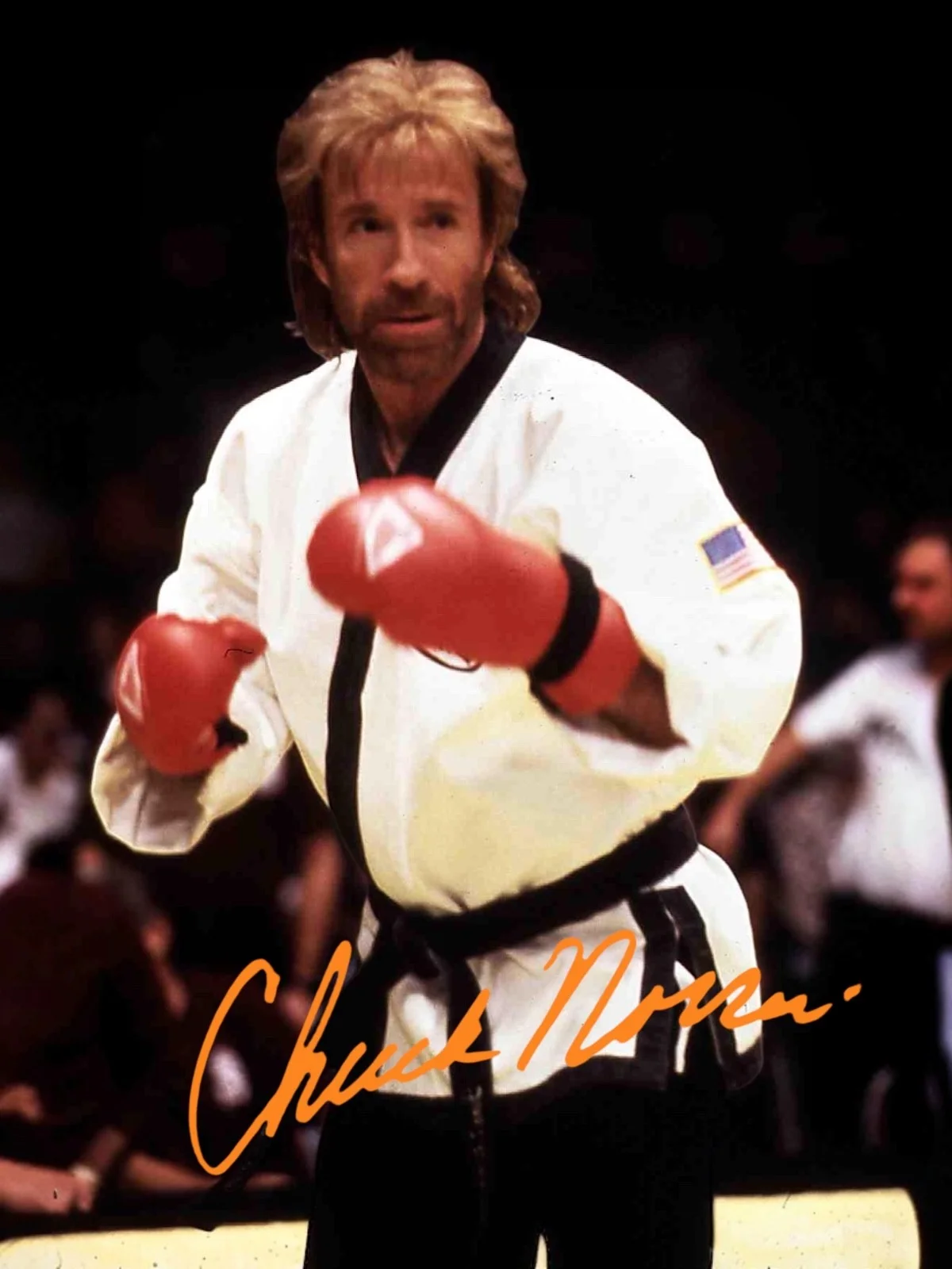 Chuck Norris Signed Autograph PHOTO Pre Print 6x4/A4/ Framed Sidekicks, image 3