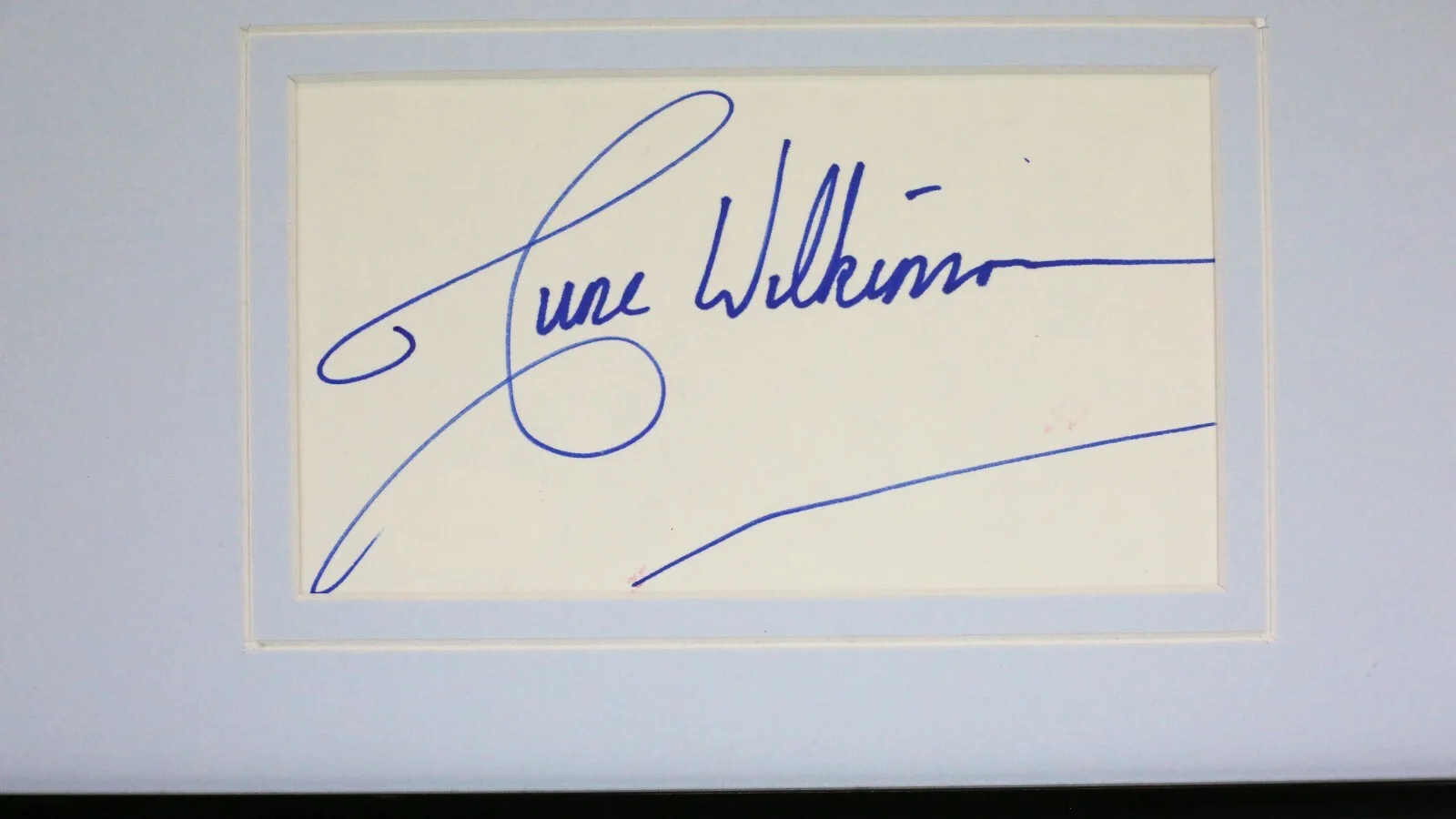 June Wilkinson Signed Framed 16x20 Photo Display JSA, image 2