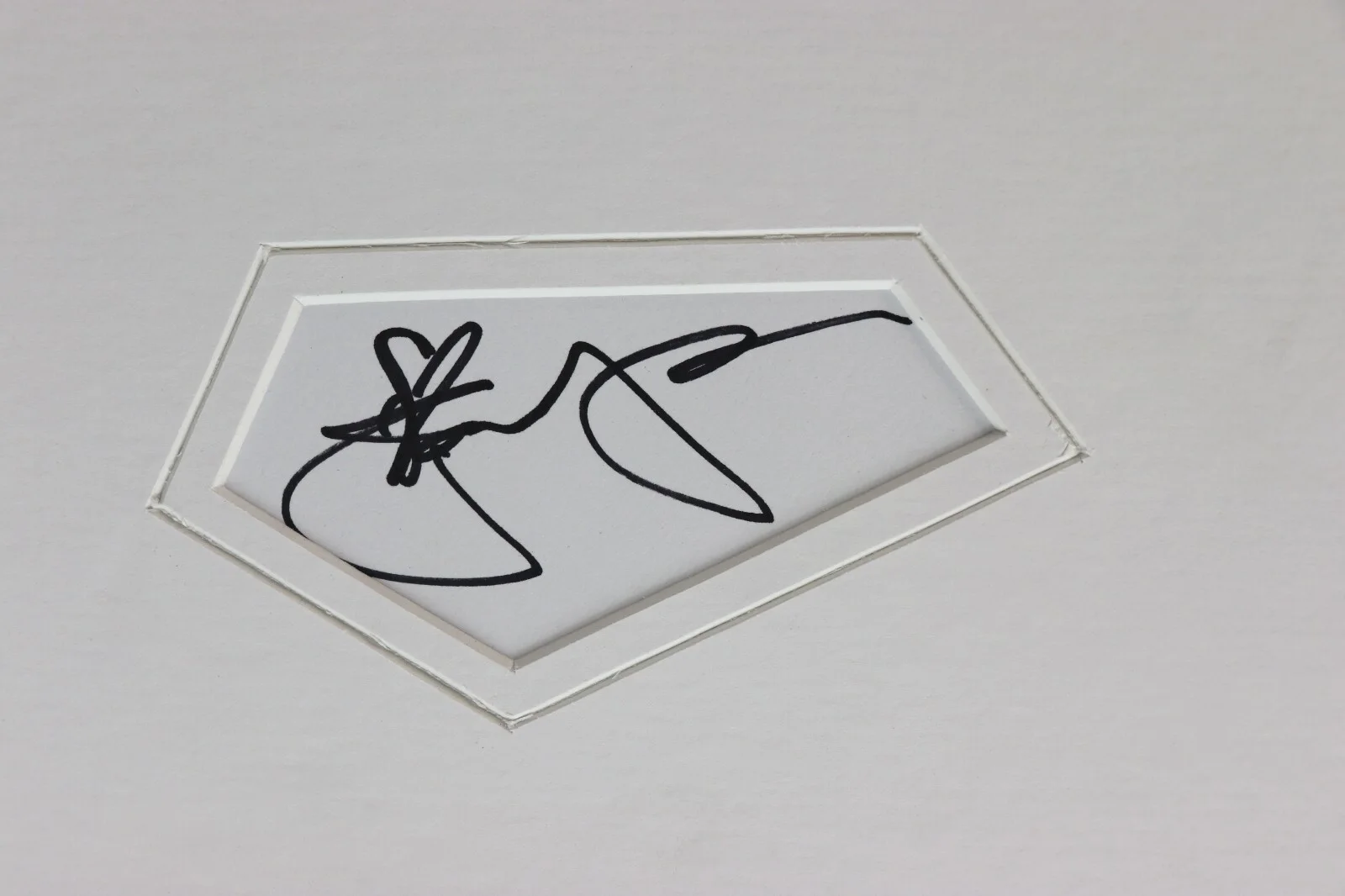 January Jones Signed Framed 16x20 Photo Display X Men, image 2