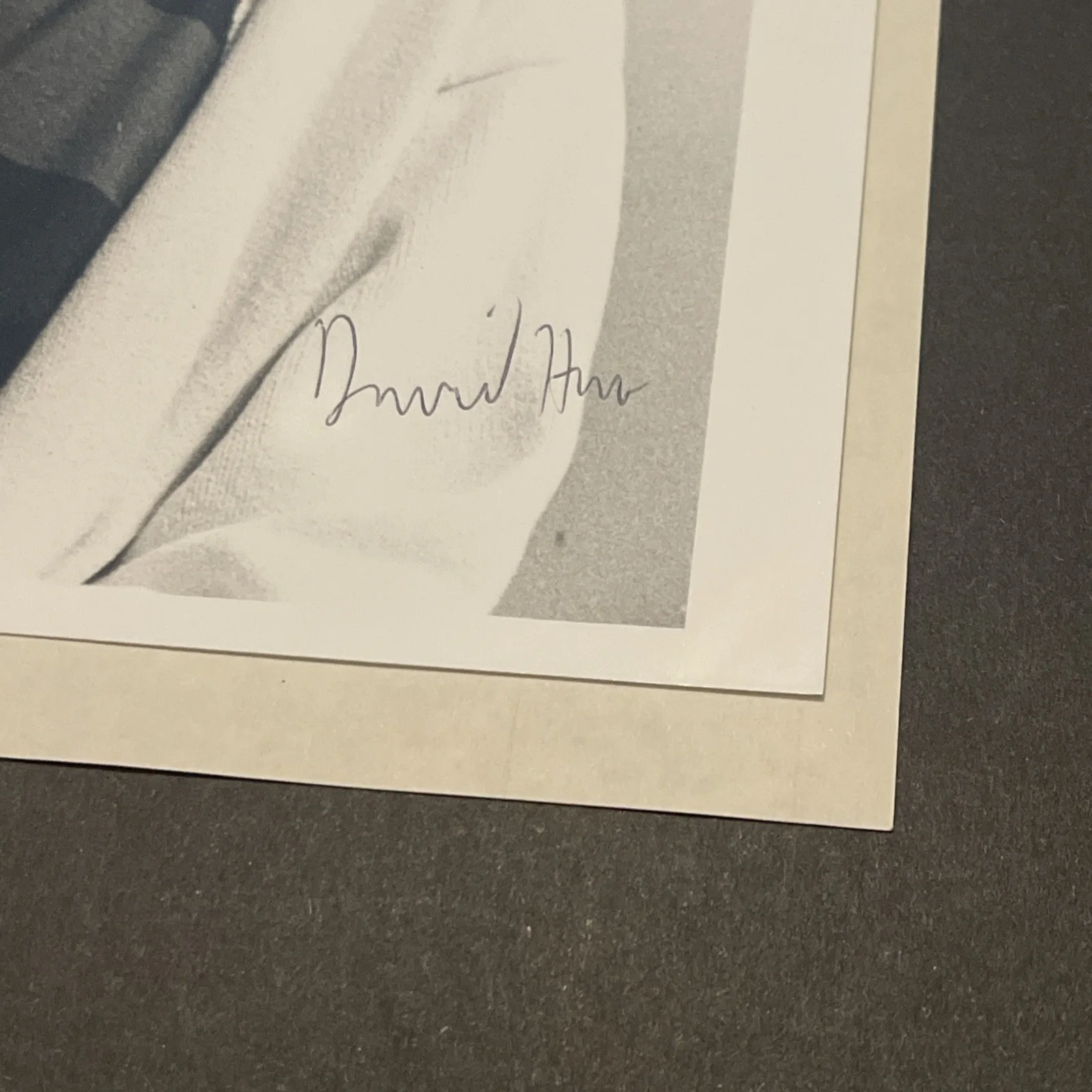 David Hare: Hand Signed Celebrity Photograph 8 x 10 - Playwright / KSK, image 2