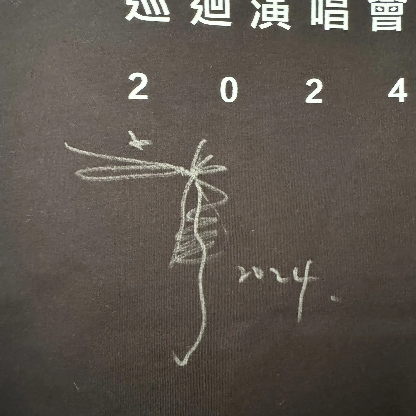 Andy Lau Autographed Signed Black T-Shirt from Concert Today Collectibles 2024, изображение 2