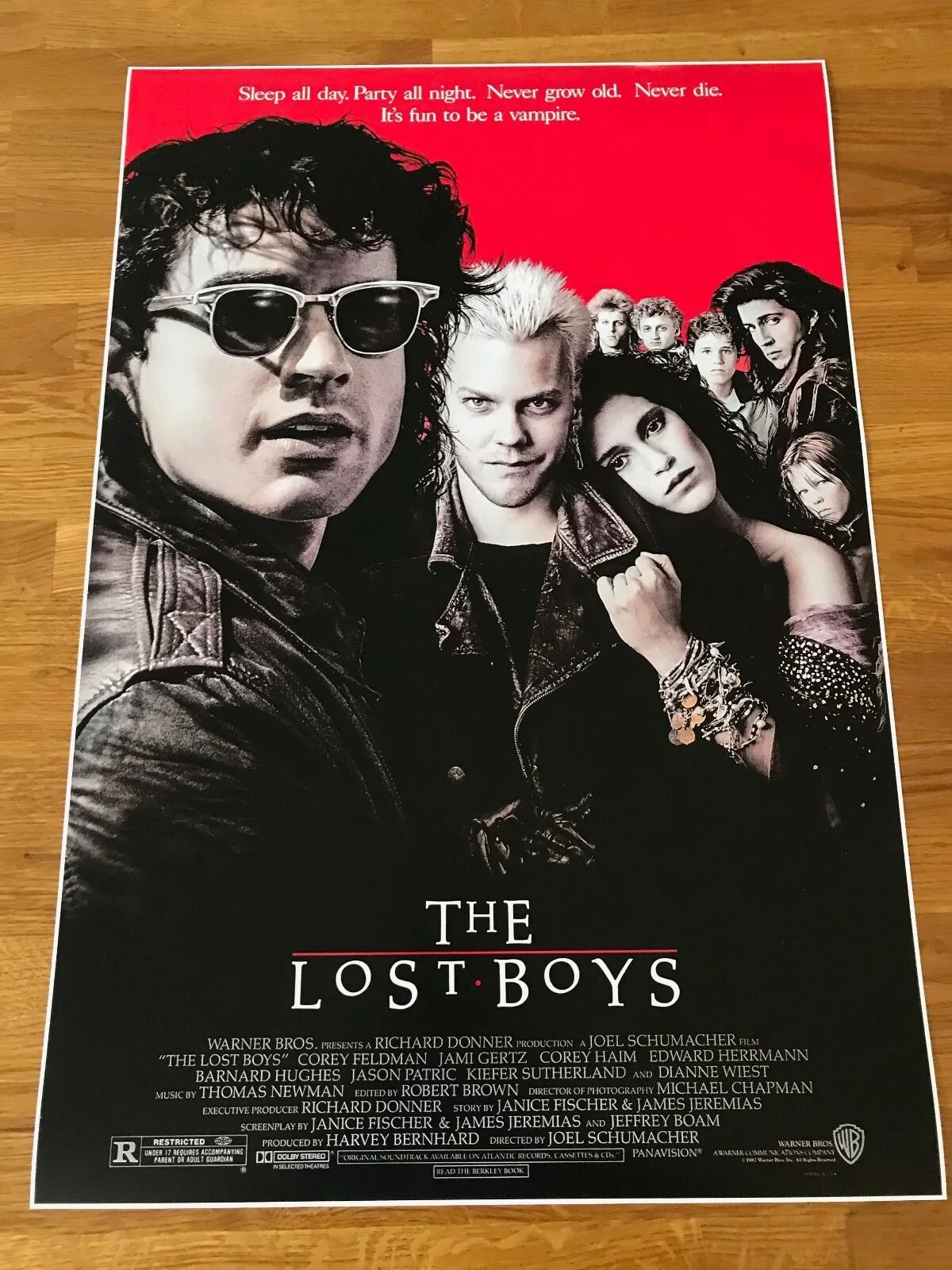 Large Movie Poster The Lost Boys 420mm x 594mm A2 size, изображение 3