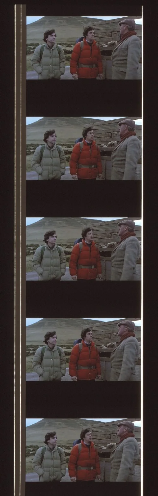 An American Werewolf in London 35mm Film Cell strip very Rare var_e, изображение 3