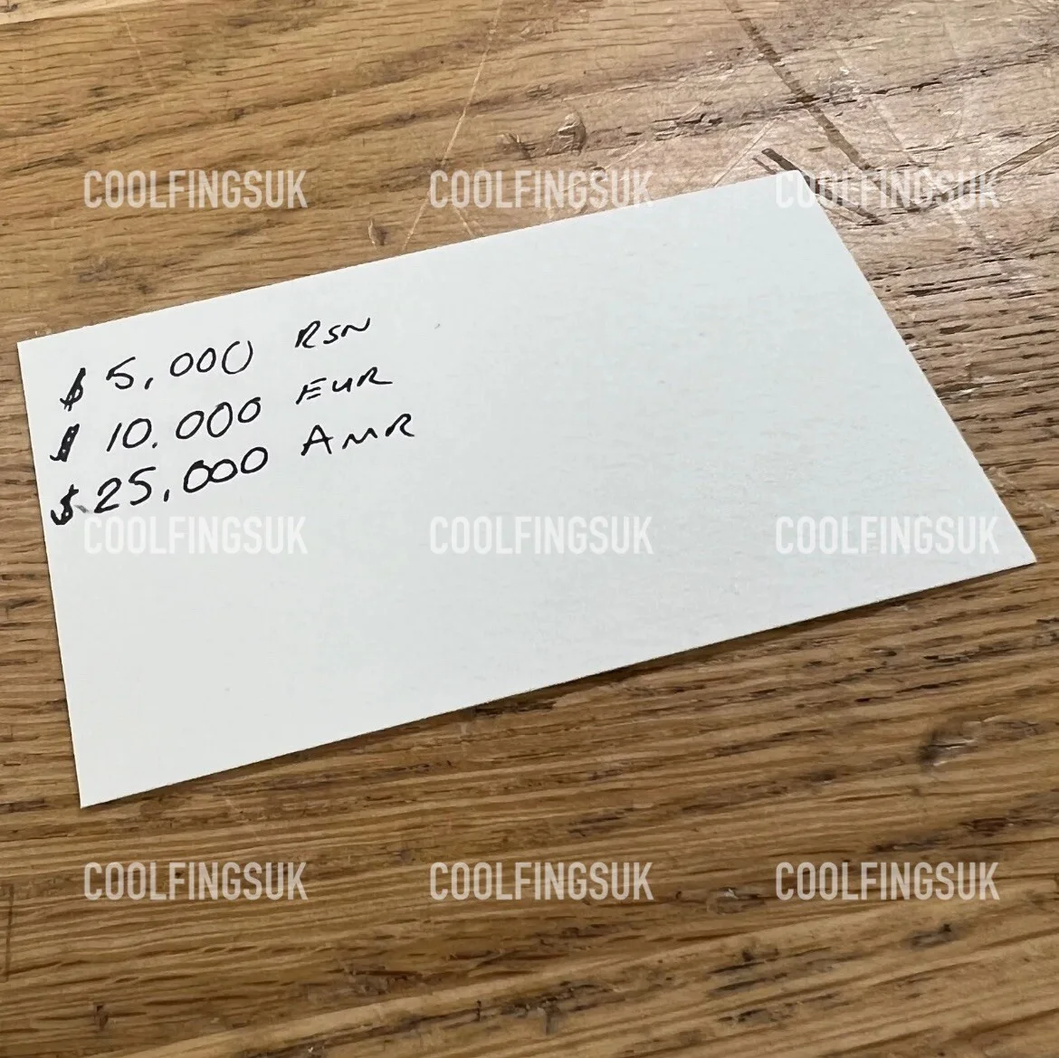Hostel Movie Elite Hunting Business Card Replica Prop, image 3