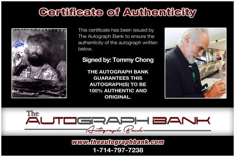 Tommy Chong — Tommy Chong authentic signed celebrity 8x10 photo W/Cert Autographed B0101, image 2