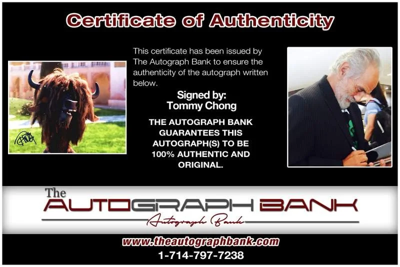 Tommy Chong — Tommy Chong authentic signed celebrity 8x10 photo W/Cert Autographed B0009, image 2