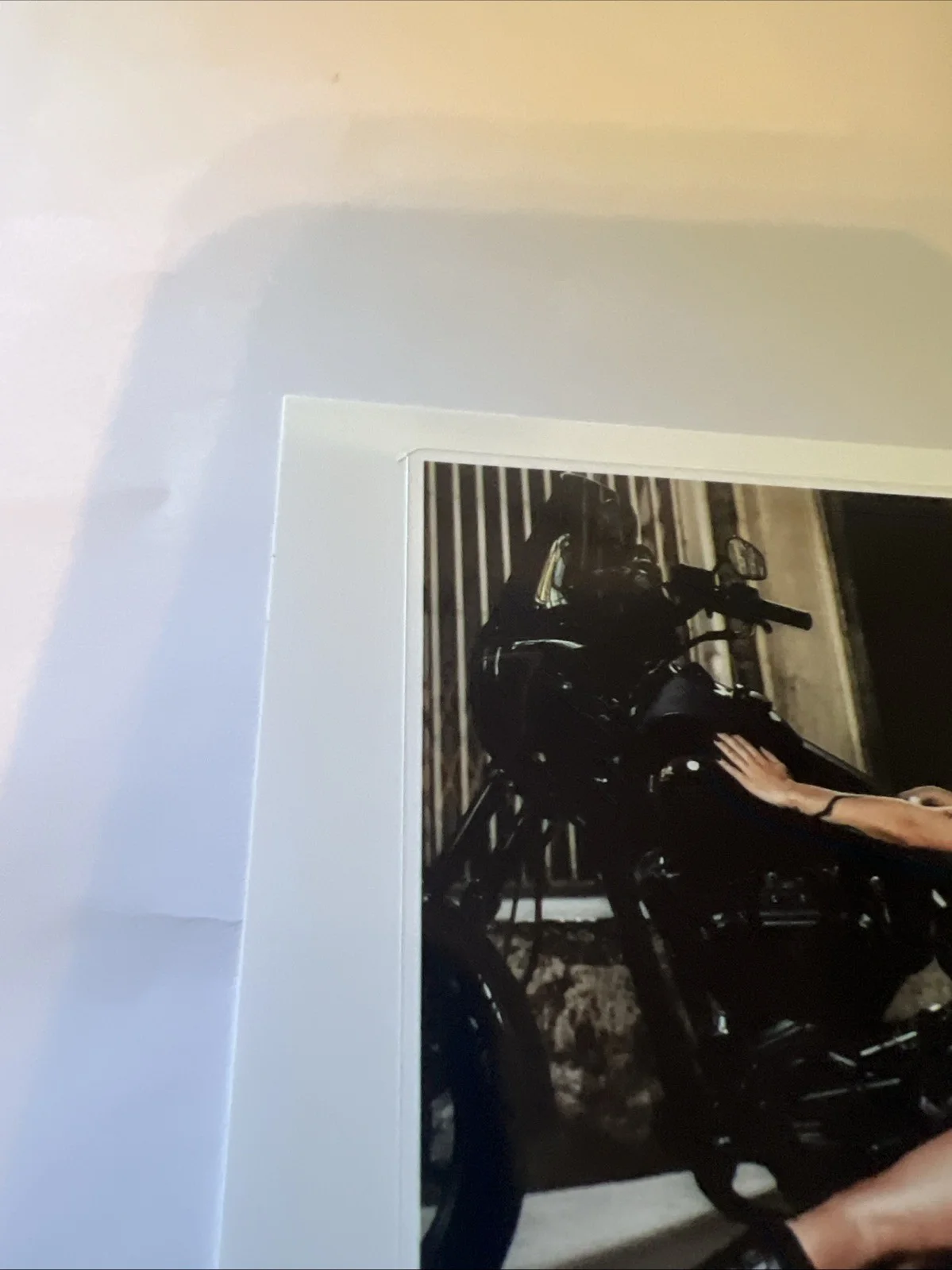Angel Youngs autographed signed Sexy Hot Pornstar XXX. 4x3 Sticker !, изображение 3