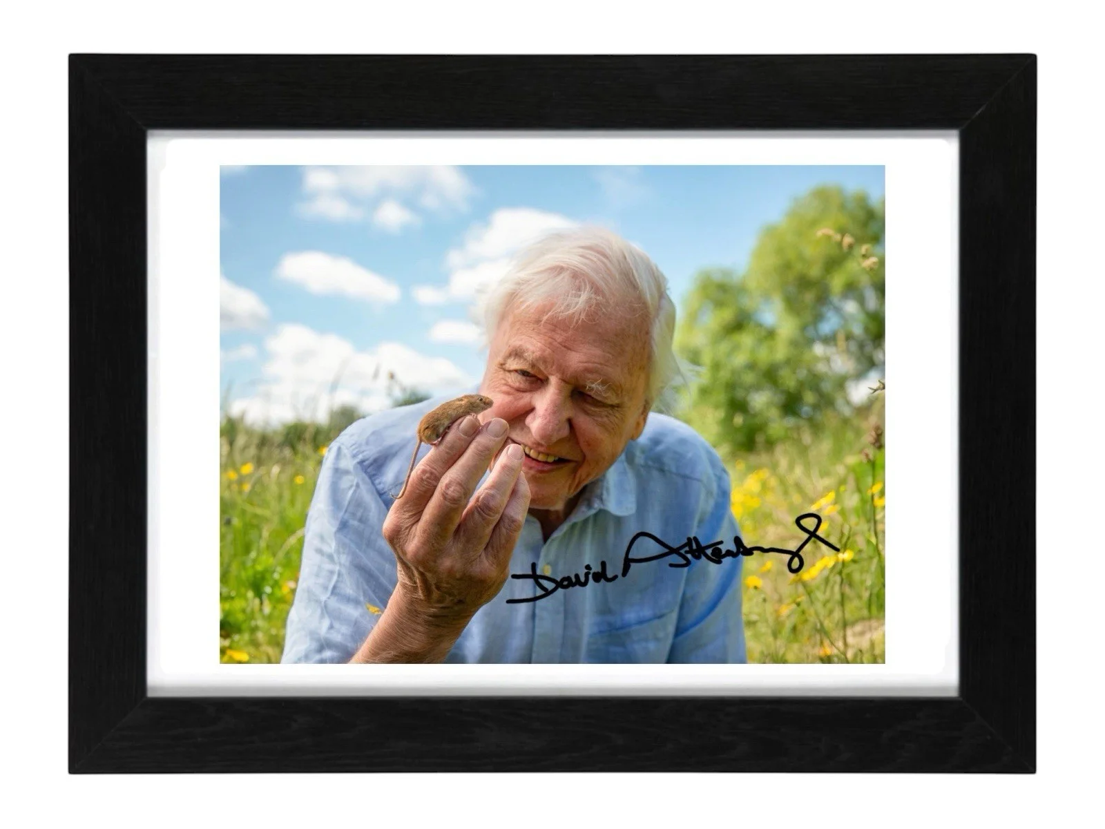 Sir David Attenborough Signed Autograph PHOTO Pre Print 6x4/A4/ Framed, image 2