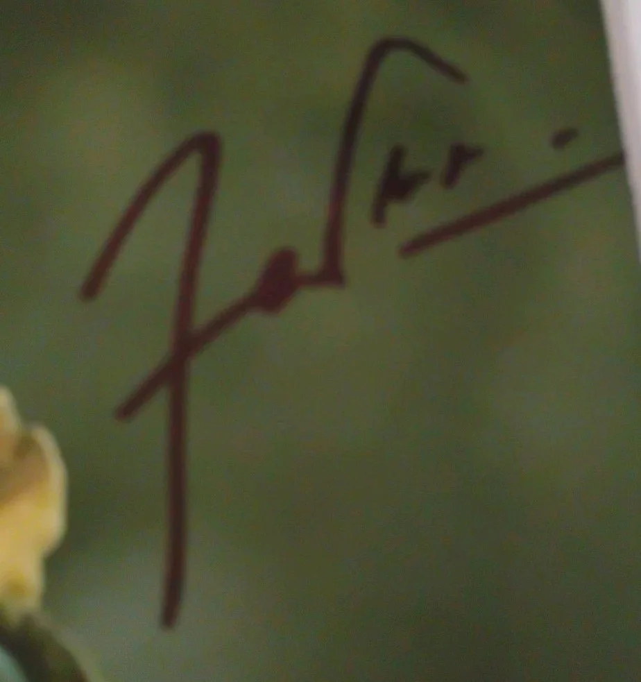 faran tahir — FARAN TAHIR IRON MAN ACTOR SIGNED AUTOGRAPHED VINTAGE ORIGINAL 8X10 PHOTO RARE, изображение 2