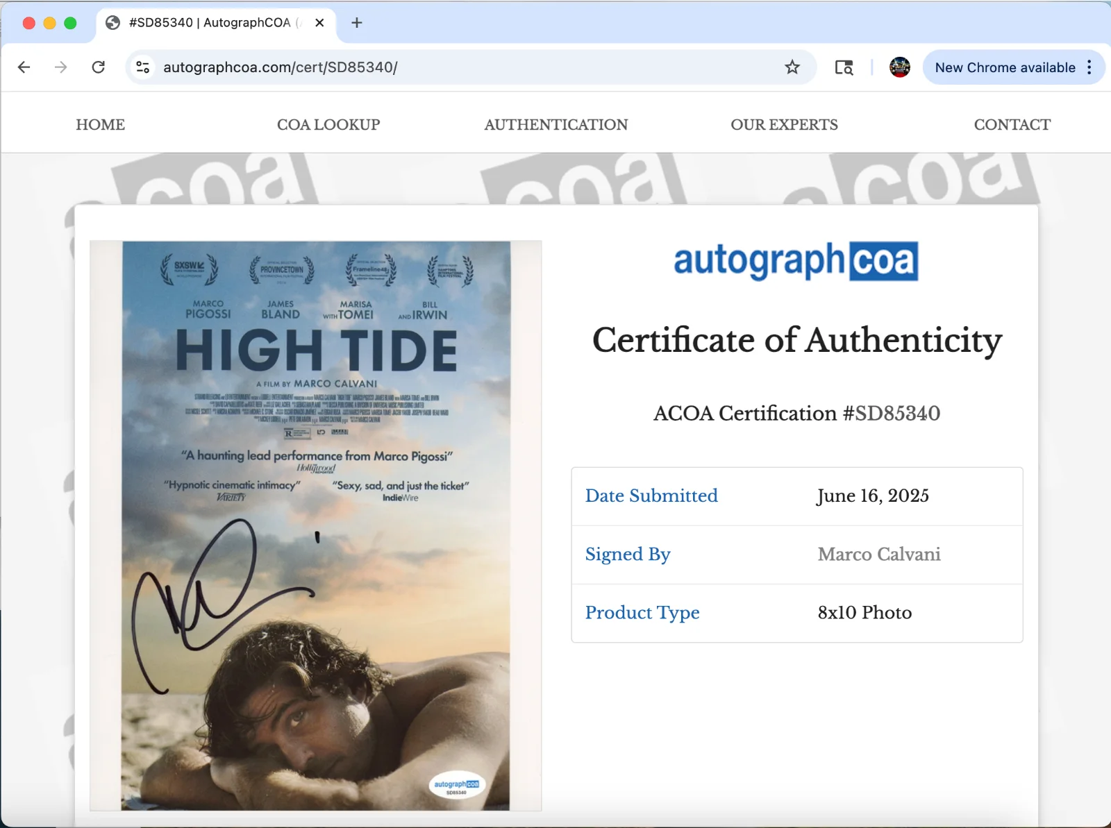 Marco Calvani — Marco Calvani signed 8x10 Photo ACOA Autograph COA High Tide, image 4