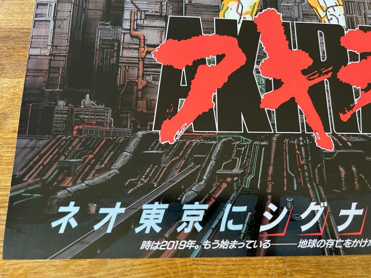 Poster Akira 420mm x 594mm Size A2, image 5