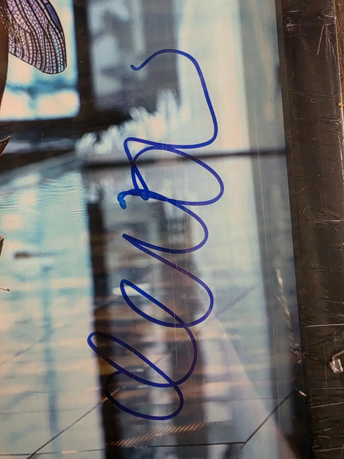 Devon Windsor — Authentic Autographed Photo of Devon Windsoor 11x14 Beckett Auth # T88552, image 2