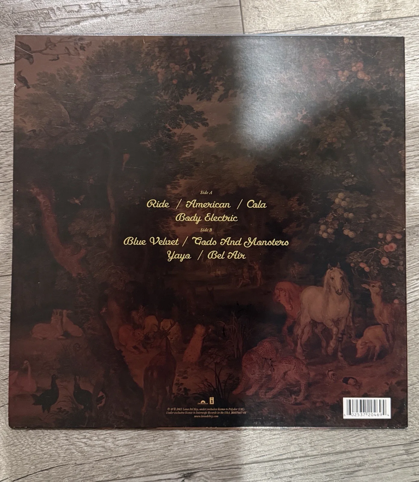 Lana Del Rey Paradise Signed Autographed Record / Album Cover, image 3