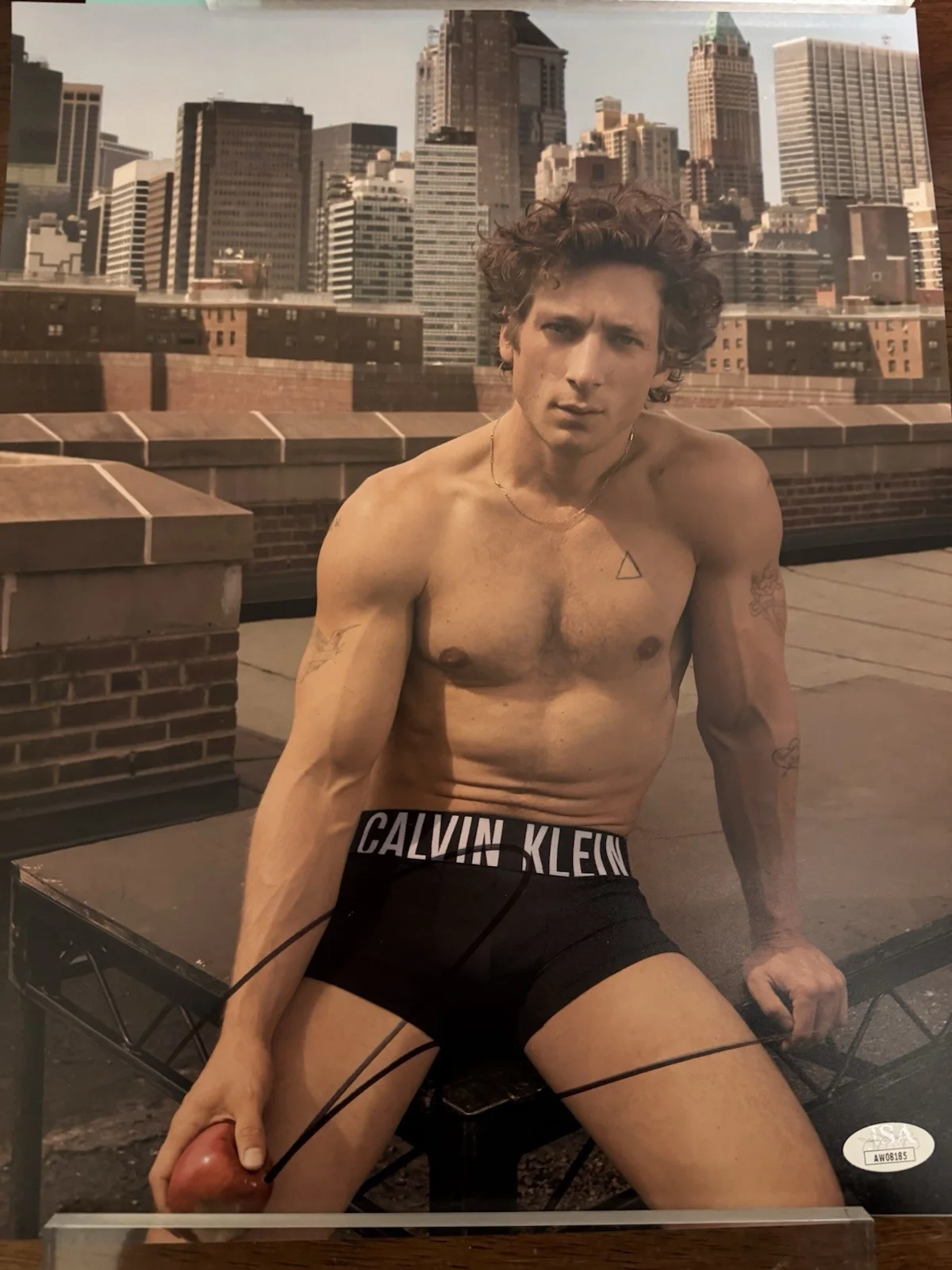 Jeremy Allen White — Jeremy Allen White Signed Calvin Klein 11x14 Photo JSA COA The Bear, изображение 2