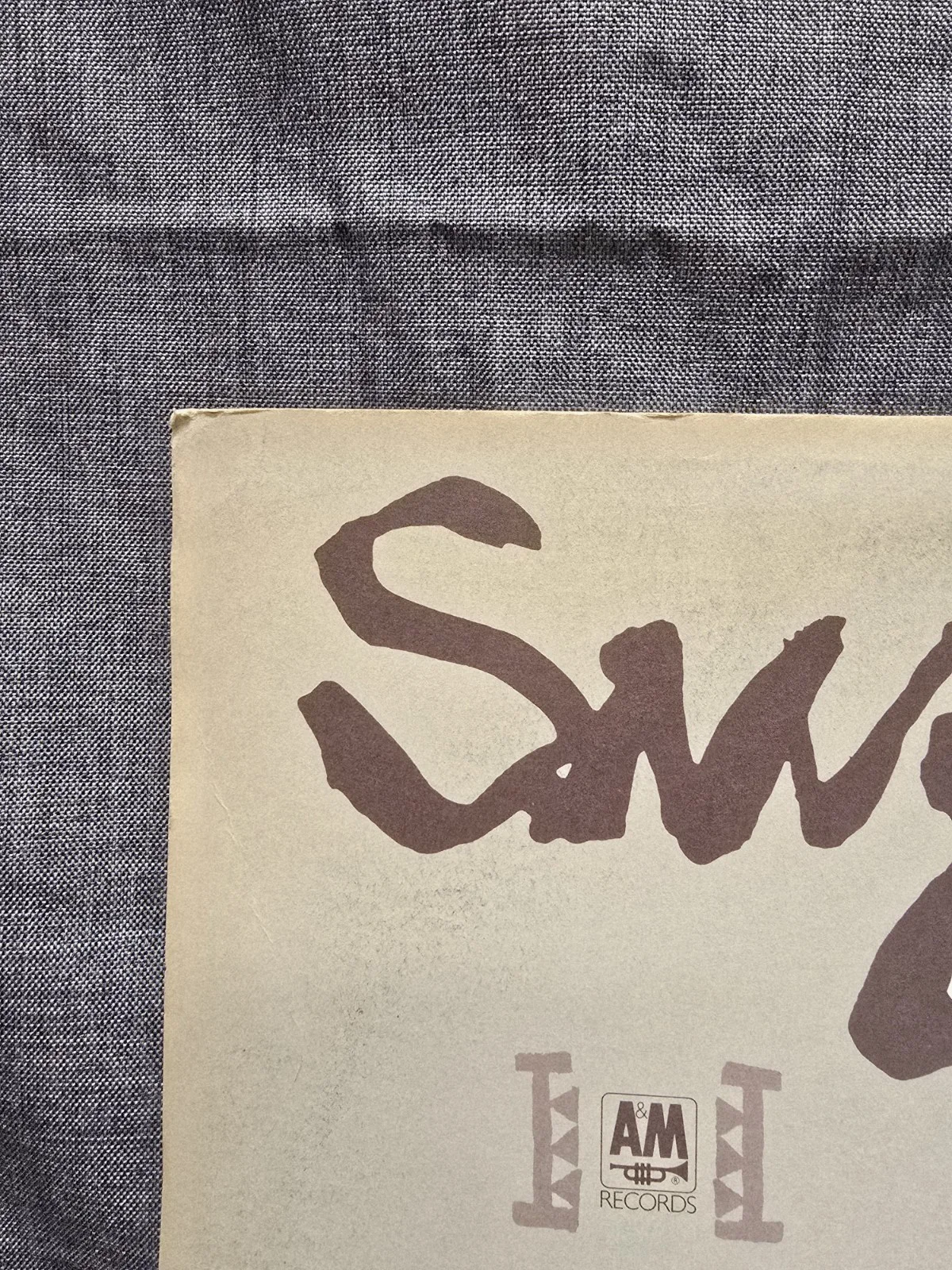 Autographed 12"×12" Promo Suzanne Vega Solitude Standing SIGN 1987 *Not A Record, изображение 5