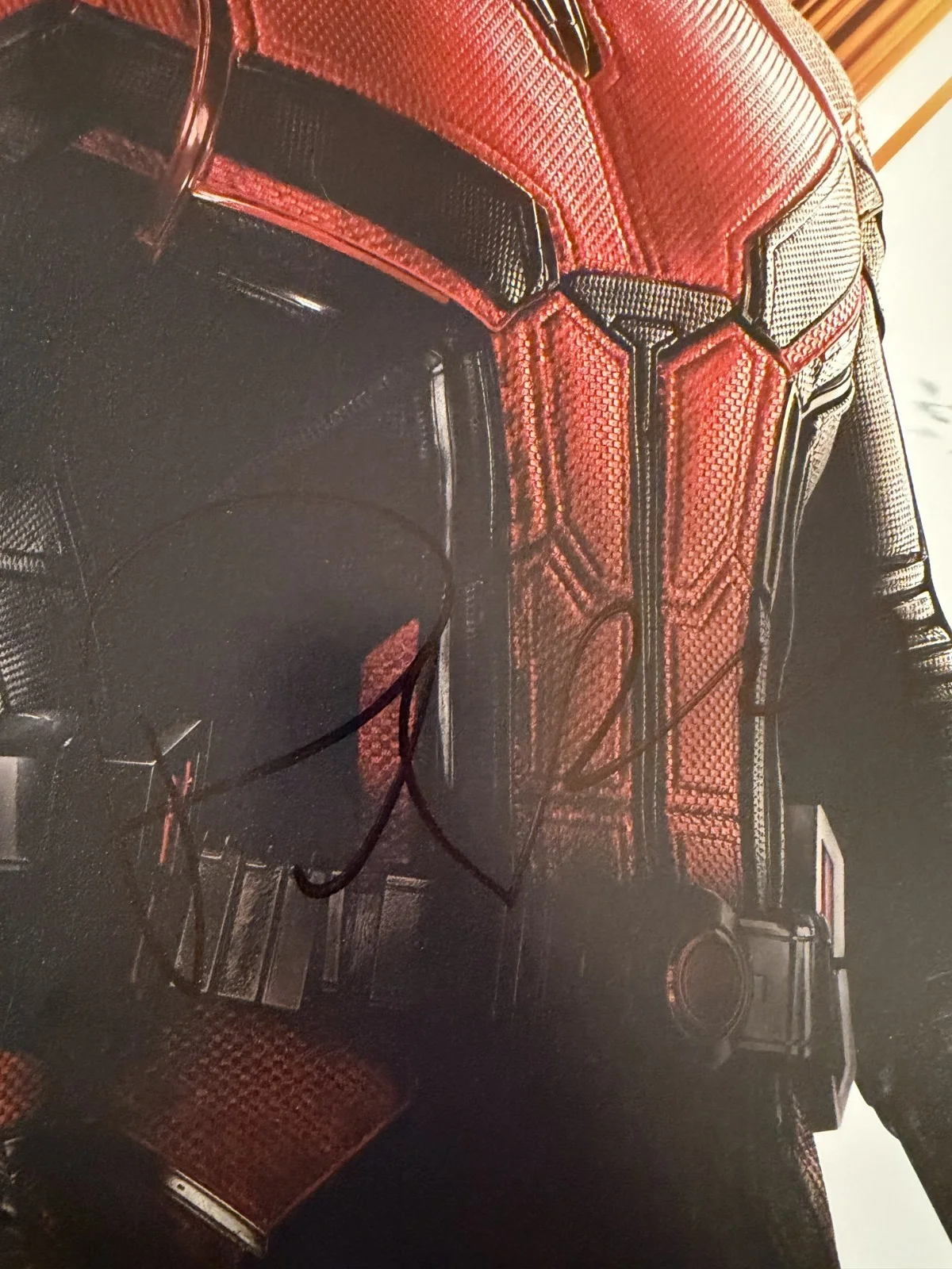 Paul Rudd ‘Ant-Man And The Wasp’ Signed 11x14 Photo ‘Scott Lang’ Beckett, image 2