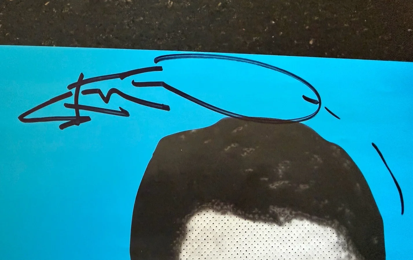Steve-o Mug Shot Signed Autographed 15x23 Poster, image 3