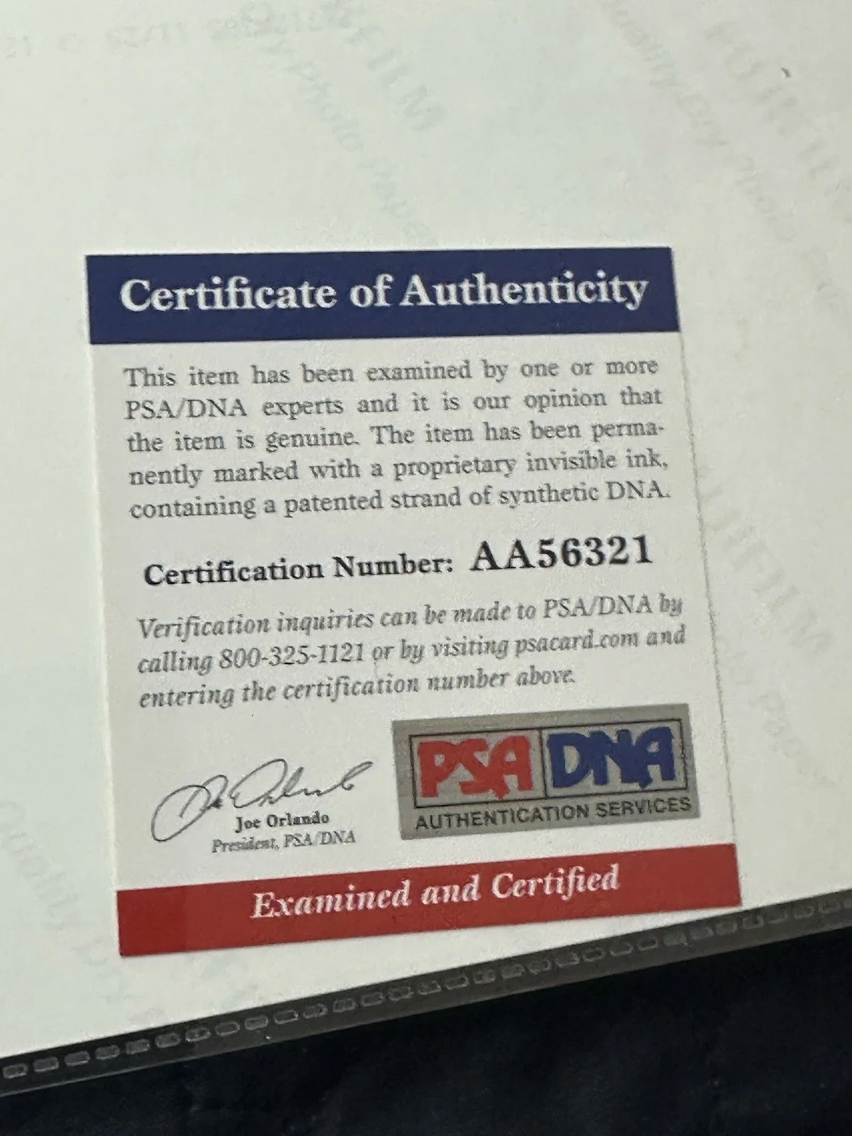 Mort Walker — Mort Walker Beetle Bailey Signed 8x10 Photo Autographed PSA/DNA COA Hi & Lois 88, image 2
