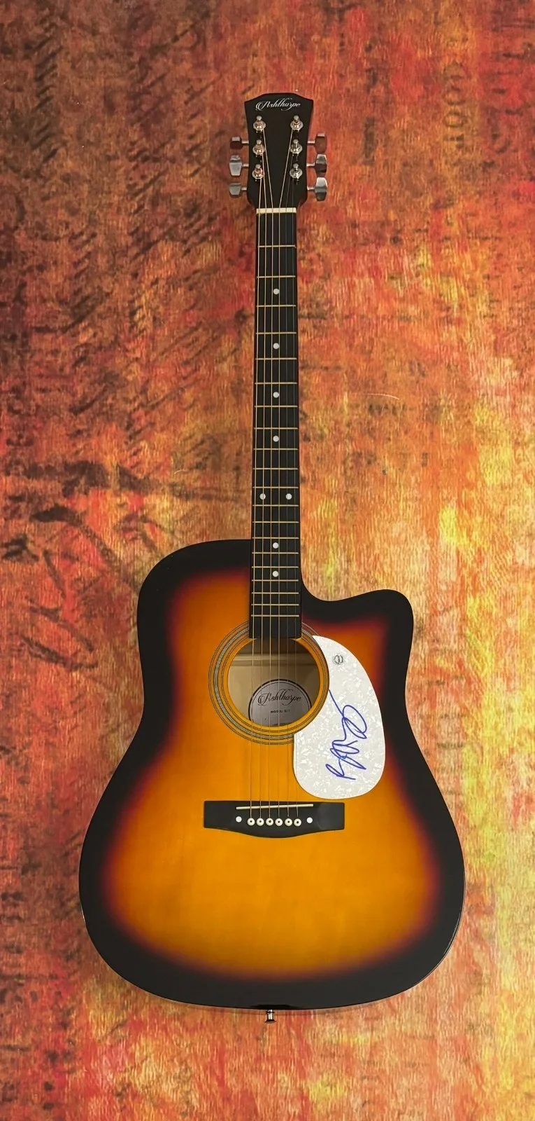 GFA In Case You Didn't Know Star * BRETT YOUNG * Signed 41" Acoustic Guitar COA, изображение 2