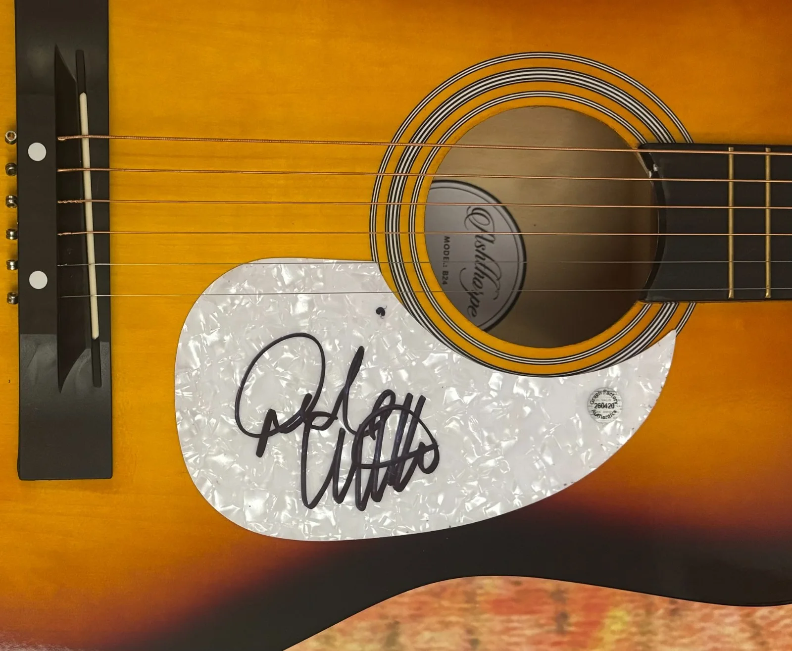 GFA Makin' Me Look Good Again * DRAKE WHITE * Signed Acoustic Guitar COA, изображение 5