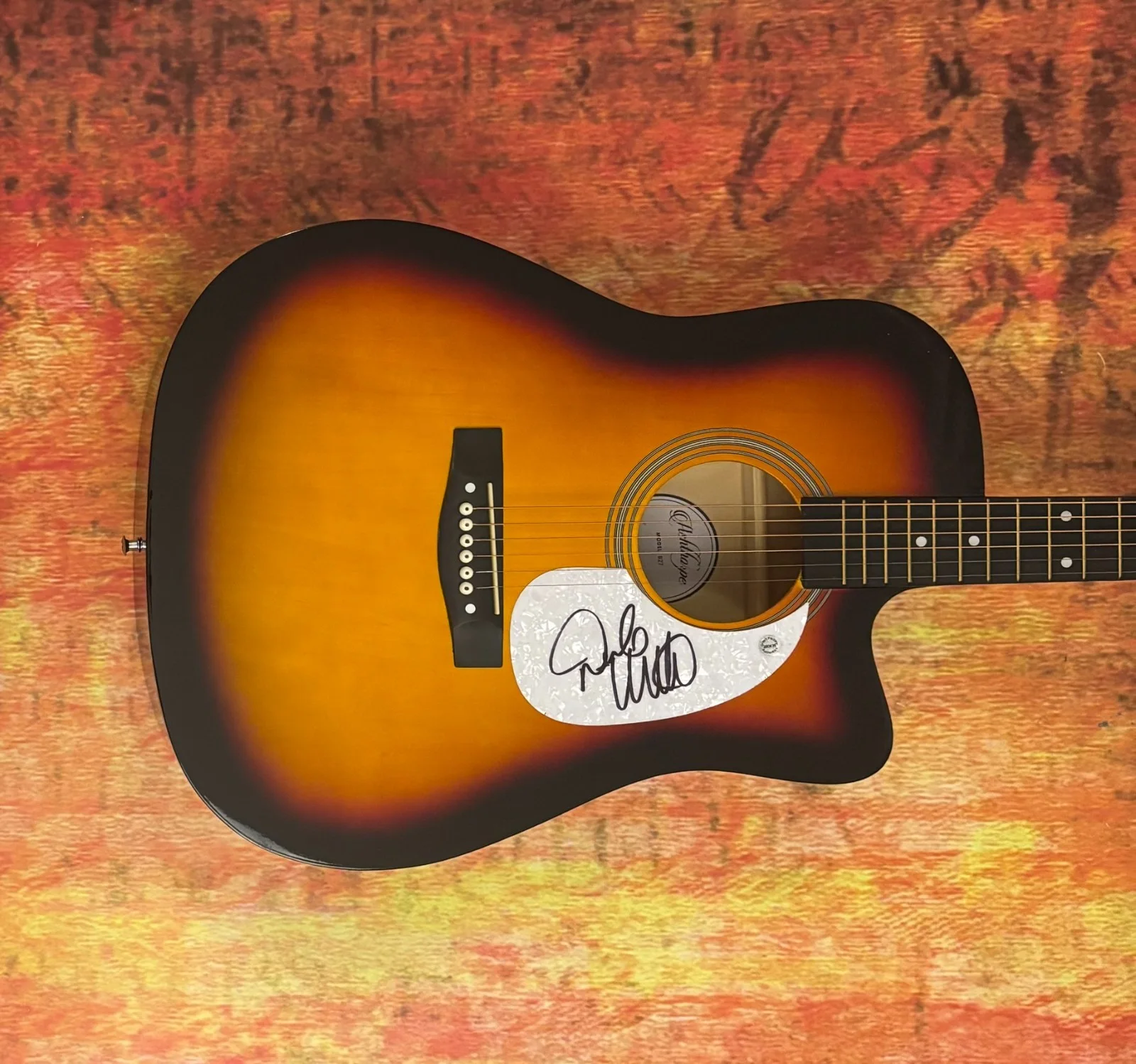 GFA Makin' Me Look Good Again * DRAKE WHITE * Signed 41" Acoustic Guitar COA, изображение 4