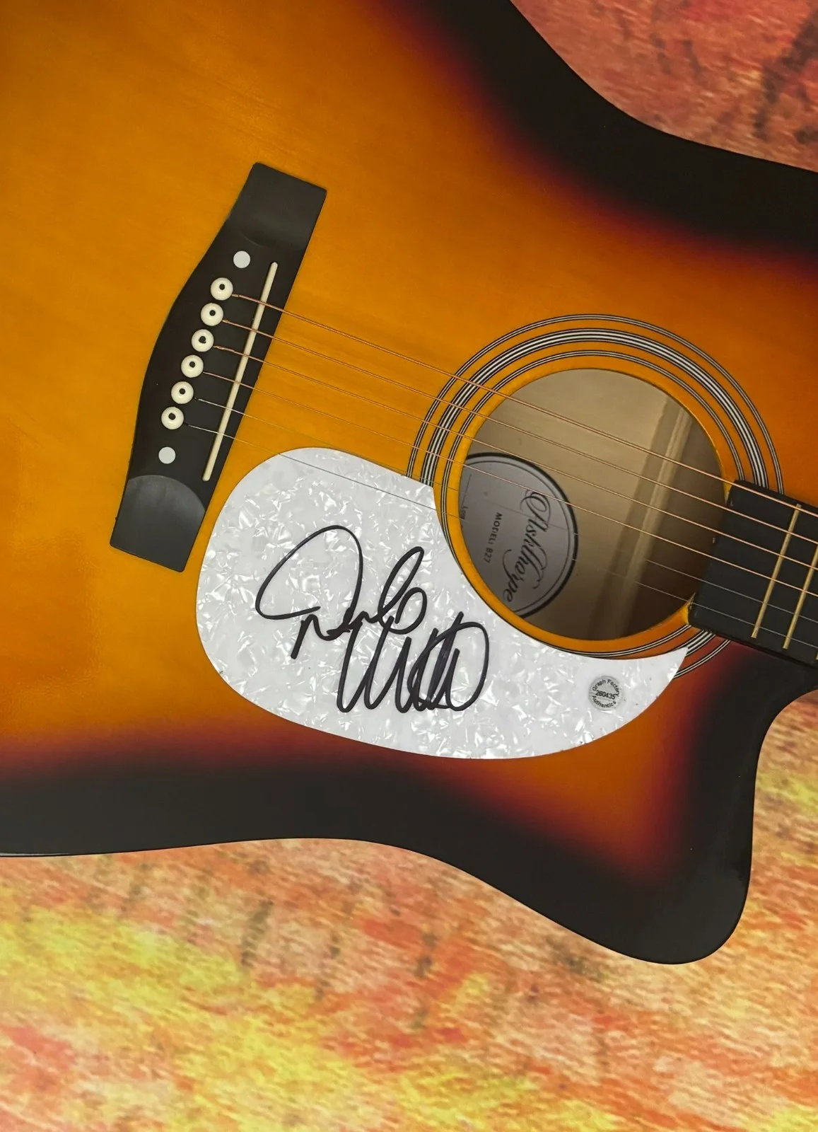 GFA Makin' Me Look Good Again * DRAKE WHITE * Signed 41" Acoustic Guitar COA, изображение 5