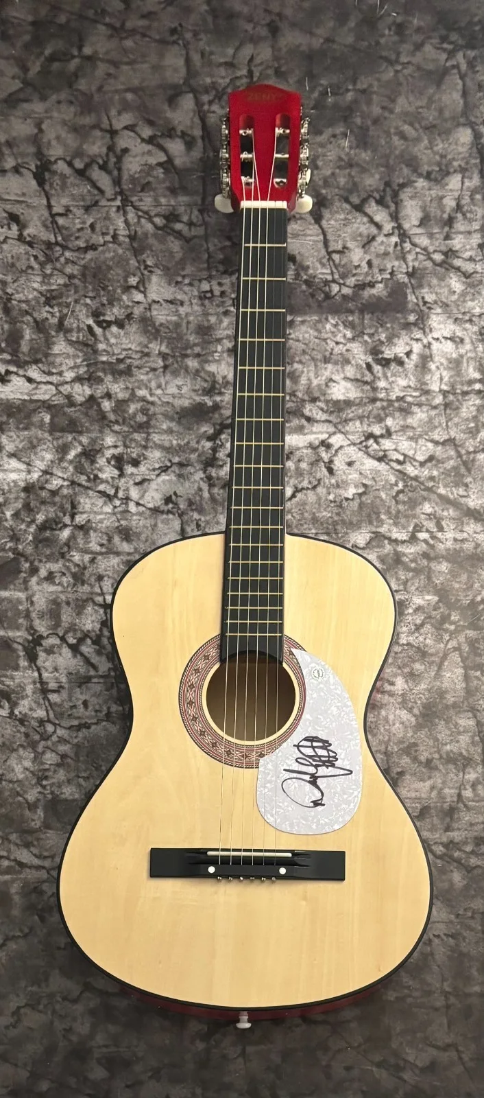 GFA Makin' Me Look Good Again * DRAKE WHITE * Signed Acoustic Guitar COA, image 2