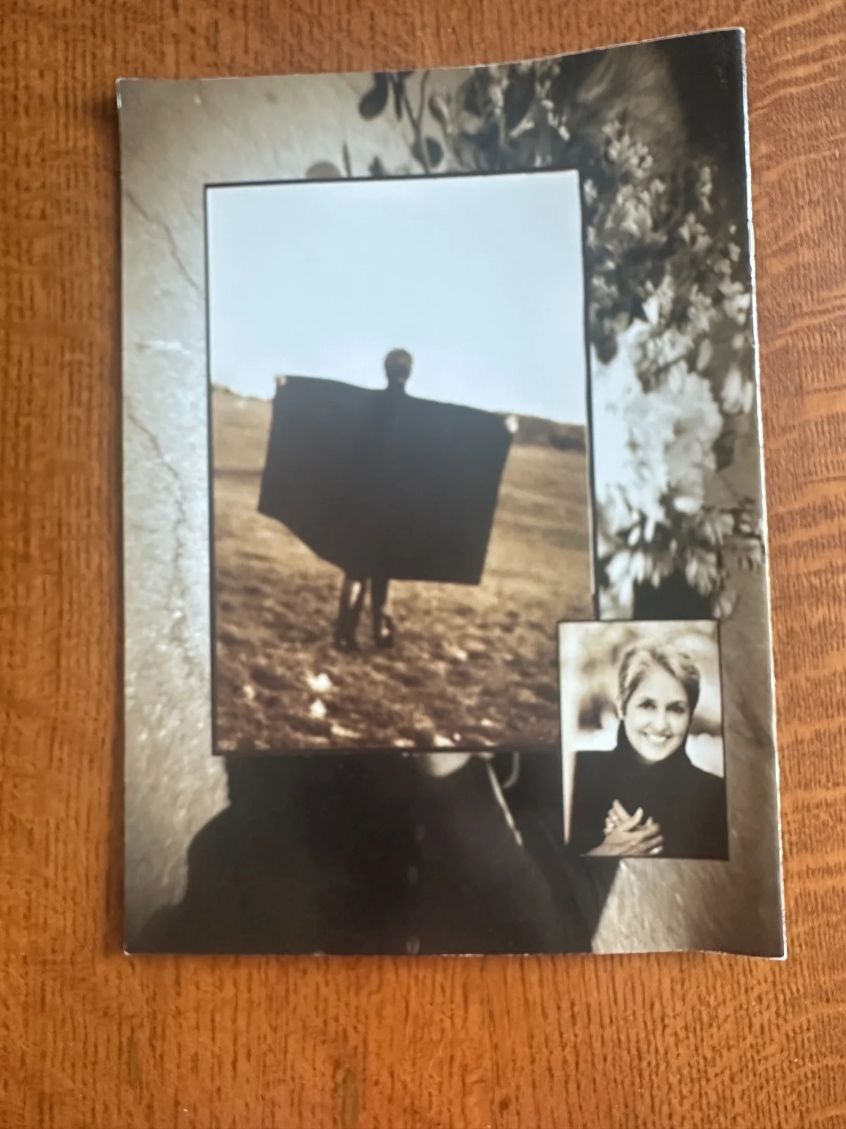 Joan Baez signed program ? booklet album magazine, image 3