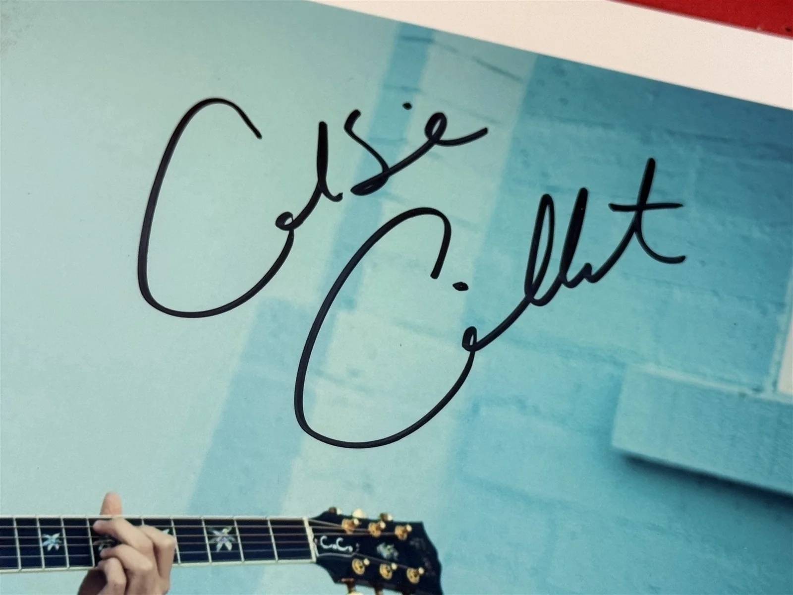 Vintage COLBIE CAILLAT Signed Autographed 8x10 Photo, image 2