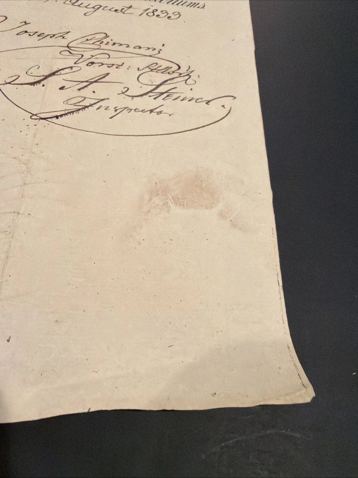 1833 Vienna Music Conservatory Diploma Signed Composer Carl Gottfried Salzmann, изображение 5
