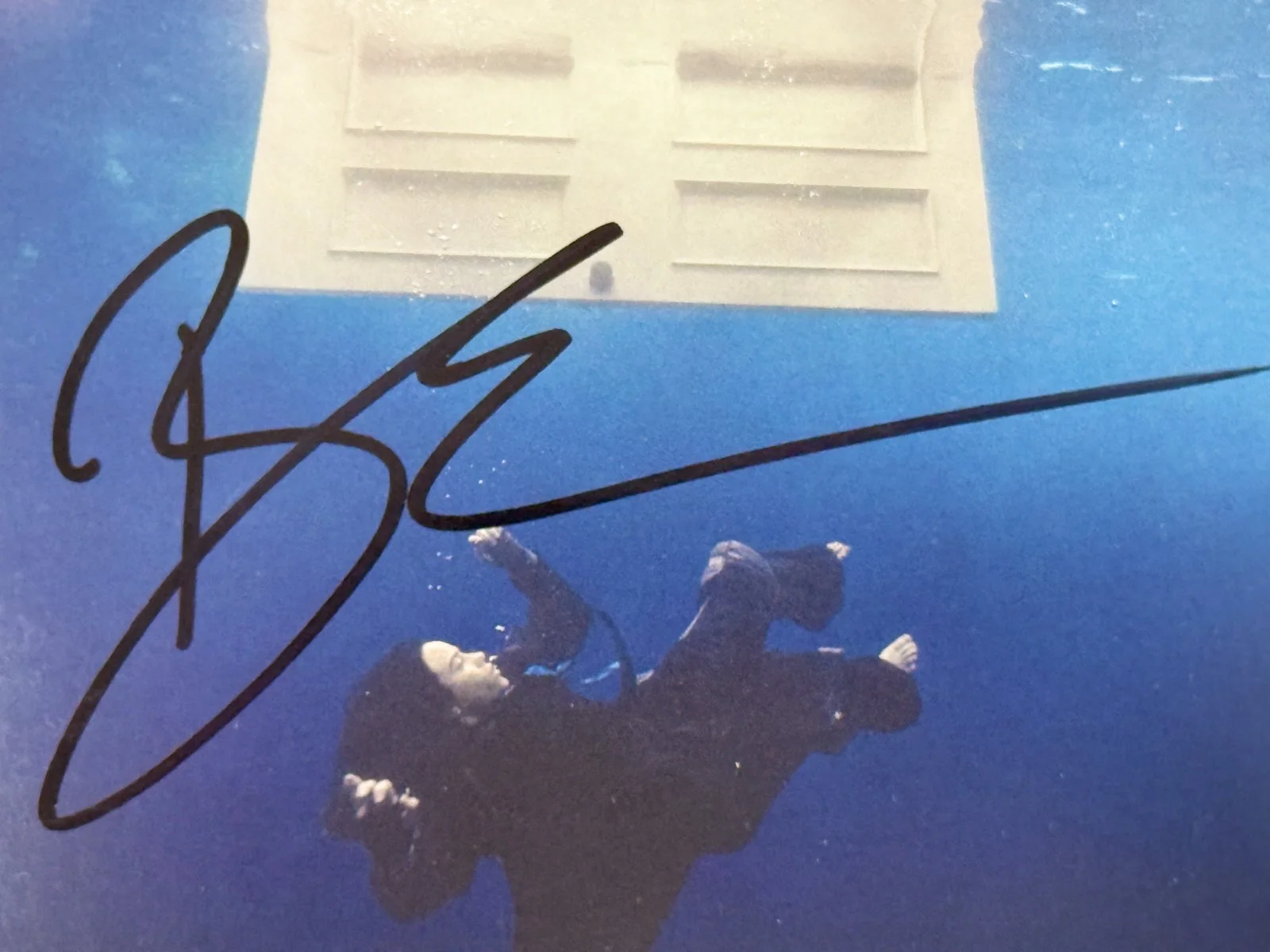 Billie Eilish HIT ME HARD AND SOFT Hand-SIGNED CD Cover., image 2